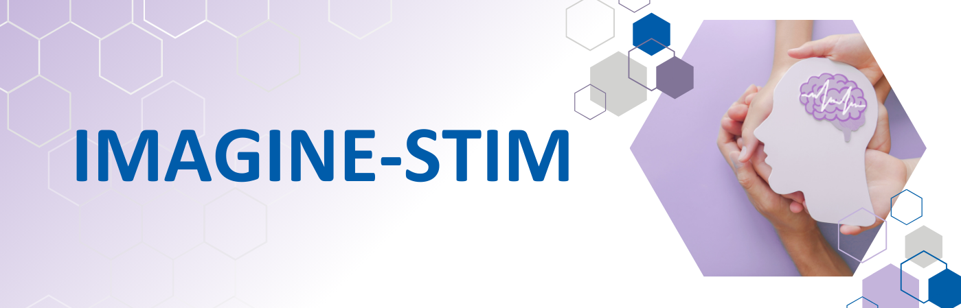 IMAGINE-STIM Interreg Project